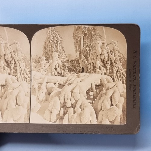 Niagara stereoview c1900 - stereoview,