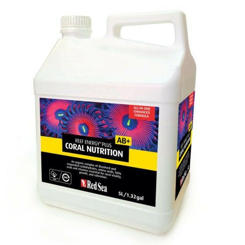 Red sea reef energy - sea, (ab+)