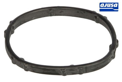Coolant flange gasket - flange,