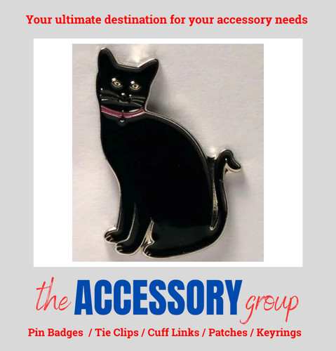 New black cat kitten - , house
