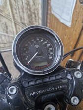 Patina Custom Speedo Bezel