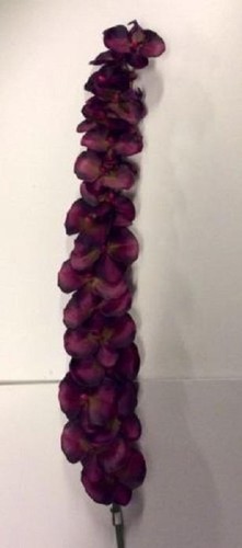 Pack stems deluxe - 3,