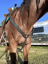 Mule Tape Breast Collar