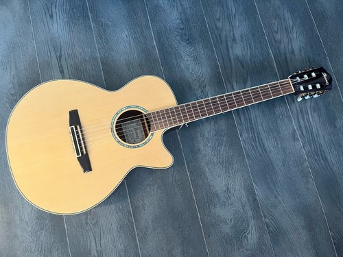 Ibanez electro acoustic - ibanez,