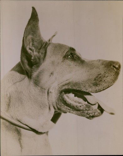 Ga72 original underwood photo - underwood,