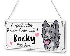 Border Collie Dog Personalised