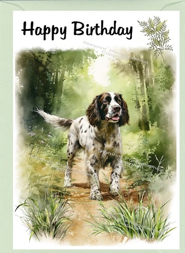 English springer spaniel - english,