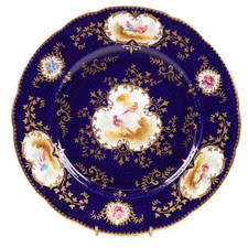 Coalport Plate Exotic Birds