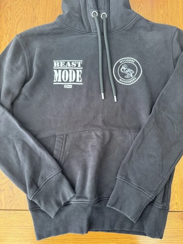 Wycombe wanderers beast - wycombe,