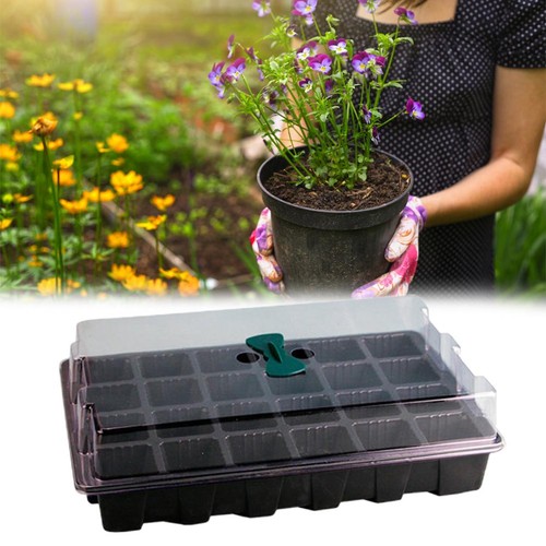 Tray moisturizing plant - moisturizing,