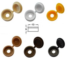 PLASTIC FOLD OVER HINGED SCREW