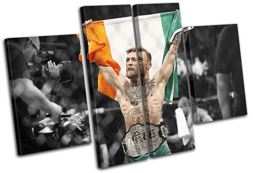 Conor mcgregor ufc mma irish - mcgregor,
