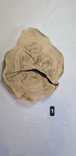 Live Edge Acacia Wood Slab