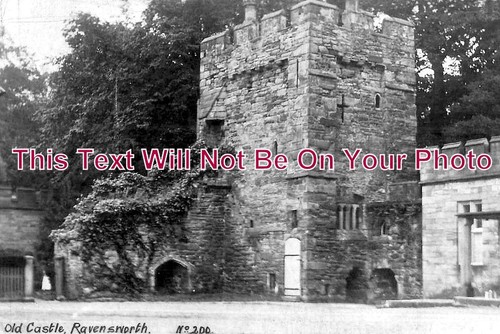 3233 the old castle - the,
