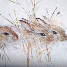 Bunny Rabbits By MADS STAGE (Denmark) Illustration Framed Matted Litho 1976