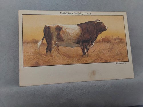 Postcard advertising types - types, of