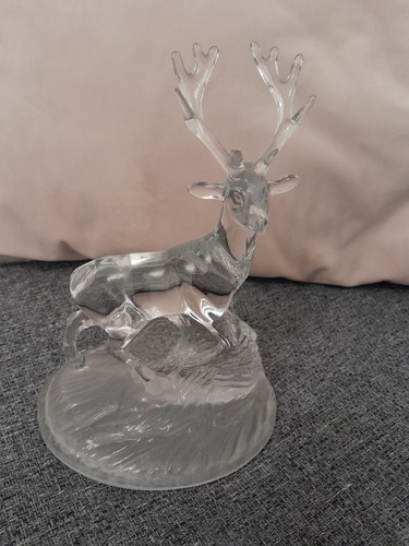 Cristal arques deer - deer, stag