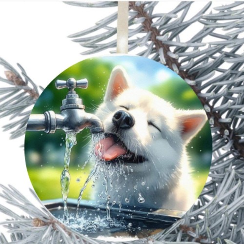 Samoyed dog hanging - samoyed, bauble