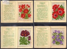 KENSITAS SILK FLOWERS 2nd SERIES MEDIUM SIZE - FULL ORIGINAL SET OF 40 FROM 1935