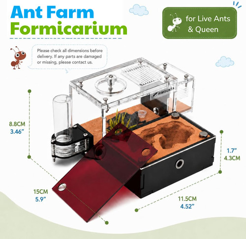 Ant farm formicarium for live - formicarium,