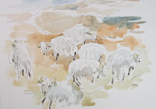 Original watercolour flock - watercolour,, 'flock