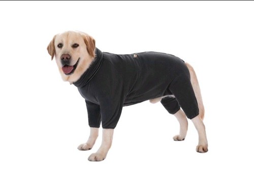 103 dog clothing pet winter - 103.dog,