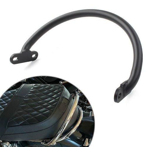 Rear passenger bar grab - passenger, rail