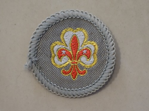 Scout guide fellowship - scout/guide,