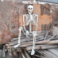 Full-size Halloween Skeleton Haunted House Poseable Human Skeleton Prop Decors