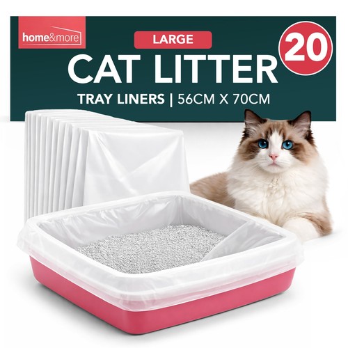 Extra large cat - extra,