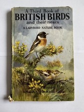 Vintage Ladybird - A Third