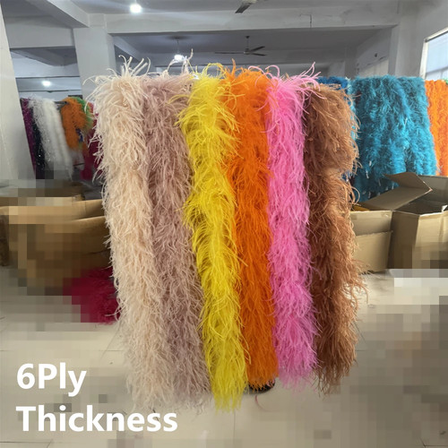 Meters beauty ostrich - 2,