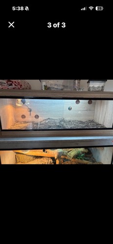 Vivarium for reptiles - vivarium,
