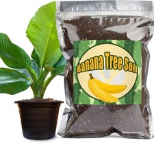 Organic Banana Tree Potting