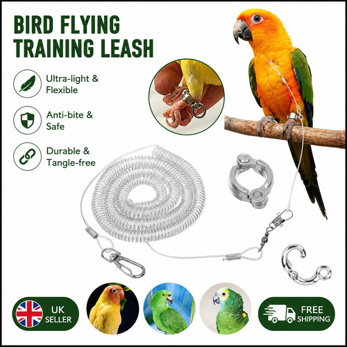 Bird training leash parrot - leash,