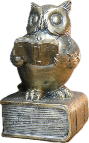 Detailed gold reading owl - reading,