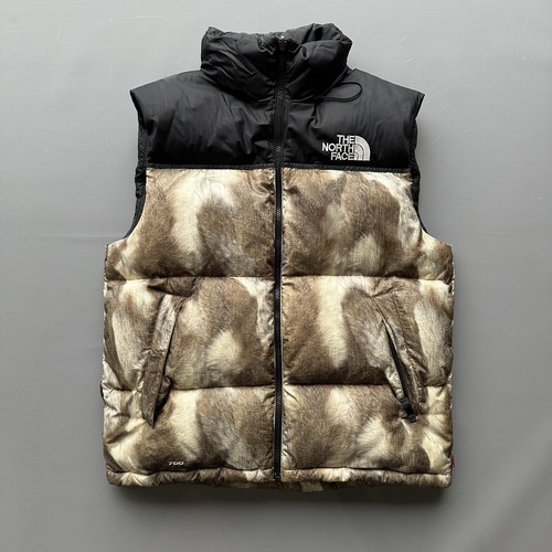 Supreme the north face - x,