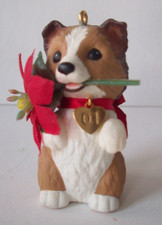 Dog Sheltie with poinsettia