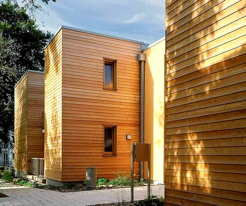 Siberian larch cladding - siberian, seca