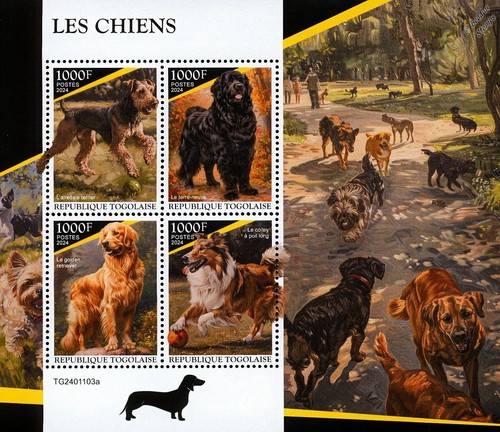 DOGS
