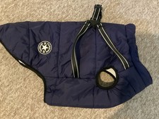 Doggy King Purple Winter Dog