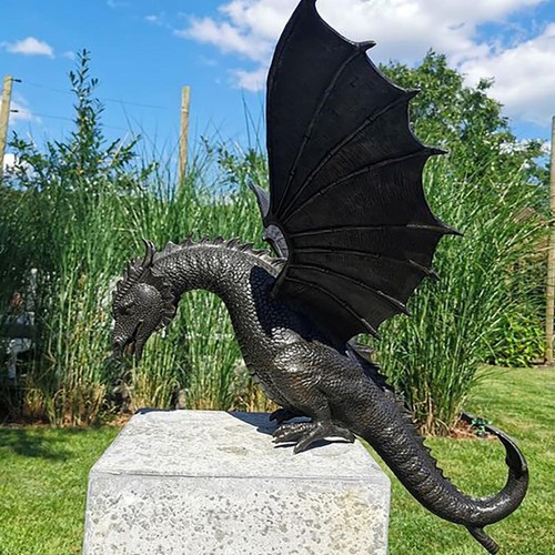 New garden dragon - garden,