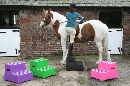 Heavy duty step - 2, horse