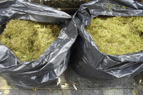 Garden moss 5kg bag - garden,
