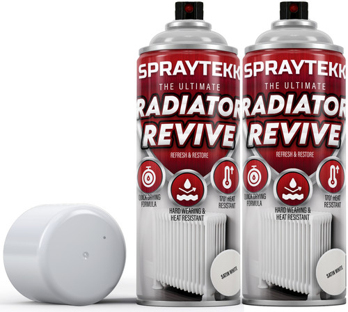 Radiator aerosol spray paint - spray,
