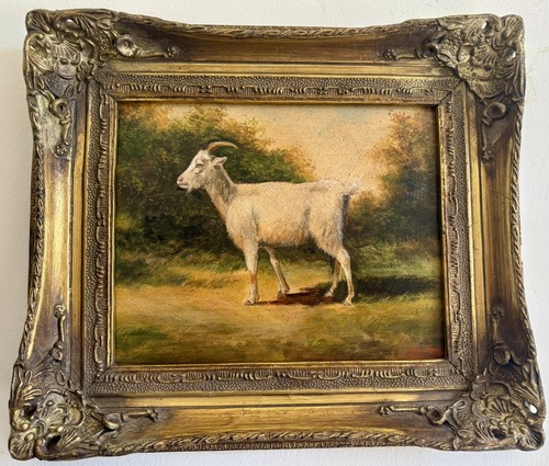 Naive billy goat oil painting - goat,