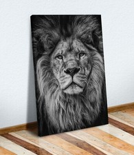 LION HEAD BLACK AND WHITE