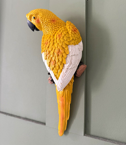 Unusual yellow resin - unusual, parrot