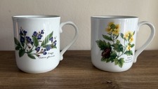 Pair Of Royal Worcester "Herbs" Green Edge Mugs
