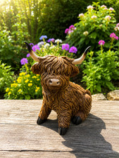 Highland cow calf garden - cow,